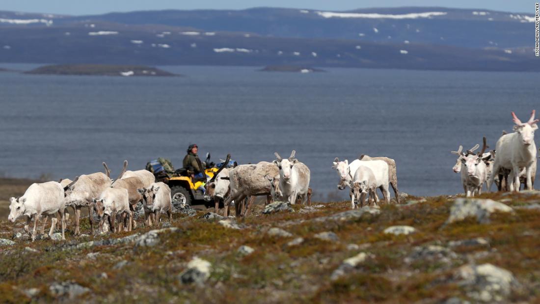 トナカイの群れを追う先住民族のサーミ/Stoyan Nenov/Reuters/FILE