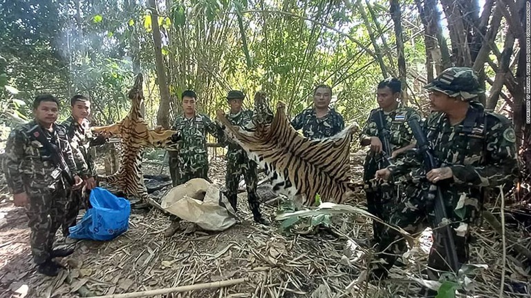 殺されたトラの皮を見せるパークレンジャーら/Department of National Parks and Wildlife Conservation/DNP