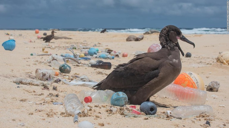 米ハワイ諸島北西部の海岸/Matthew Chauvin/The Ocean Cleanup