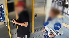 野生のカモノハシを捕獲して列車に、２６歳男を検挙　オーストラリア