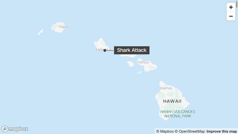 米ハワイ州のオアフ島沖でサーフィンをしていた男性がサメに襲われた/Mapbox