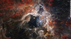 ３４０光年の長さがあるタランチュラ星雲