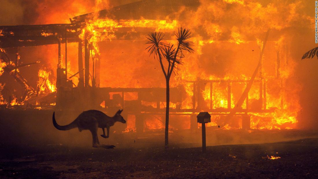 １９年１２月オーストラリアのコンジョラ湖で、炎に包まれる家から跳び去るカンガルー。オーストラリア史上最悪の水準のこの年の山火事は、約３０億匹の動物から命と住む場所を奪った/Matthew Abbott/The New York Times