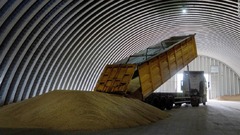 ポーランドとハンガリー、ウクライナ産穀物の輸入禁止　供給過剰で価格下落