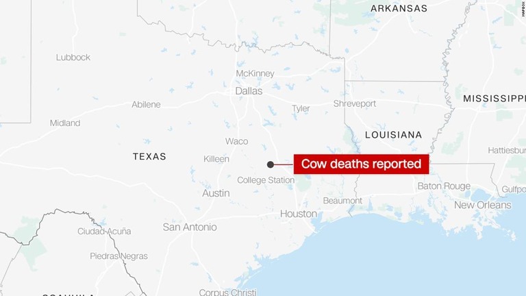 米テキサス州で、舌を切り取られるなどした牛の死骸が６頭見つかり、警察が捜査に乗り出した/Mapbox