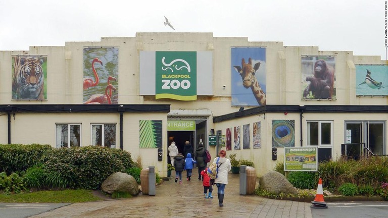「カモメ抑止係」の求人広告を出した英ランカシャー州のブラックプール動物園/Simon Evans/Alamy Stock Photo
