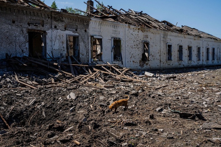 空爆の後のザポリージャ州の町。瓦礫の上を犬が歩いている/Dimitar Dilkoff/AFP/Getty Images