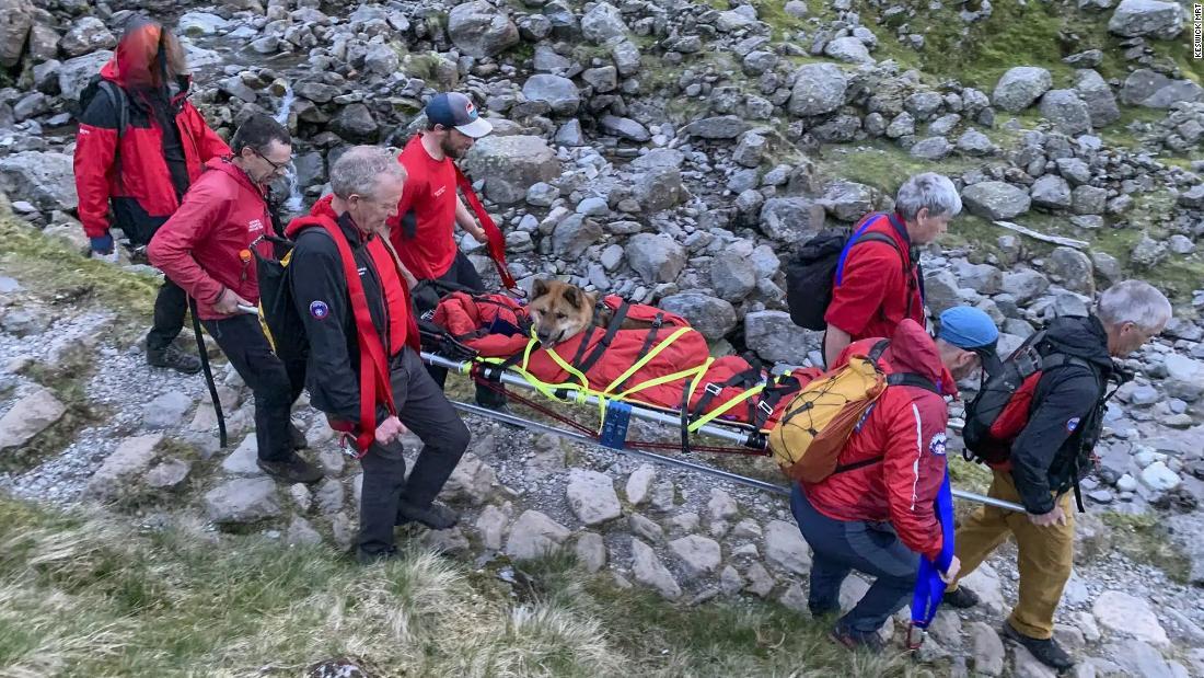 担架で運ばれ下山する犬/Keswick MRT