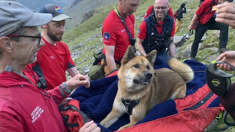 救助隊員らによると犬は「動くことを拒否していた」という/Keswick MRT