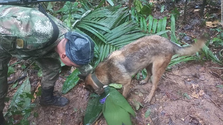 捜索活動にあたるコロンビア軍の兵士と捜索犬＝１７日、コロンビア・カケタ/Colombian Air Force/Reuters