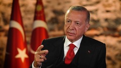 スウェーデンのＮＡＴＯ加盟、現時点で支持する用意なし　トルコ大統領