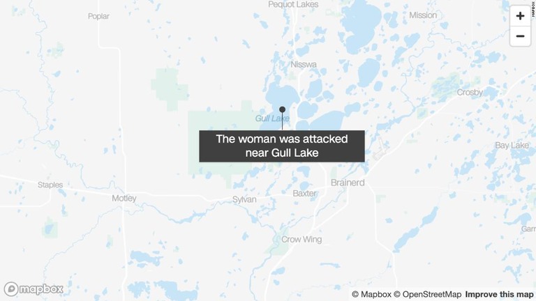 米ミネソタ州の山小屋で女性がクマに襲われ負傷した/Mapbox