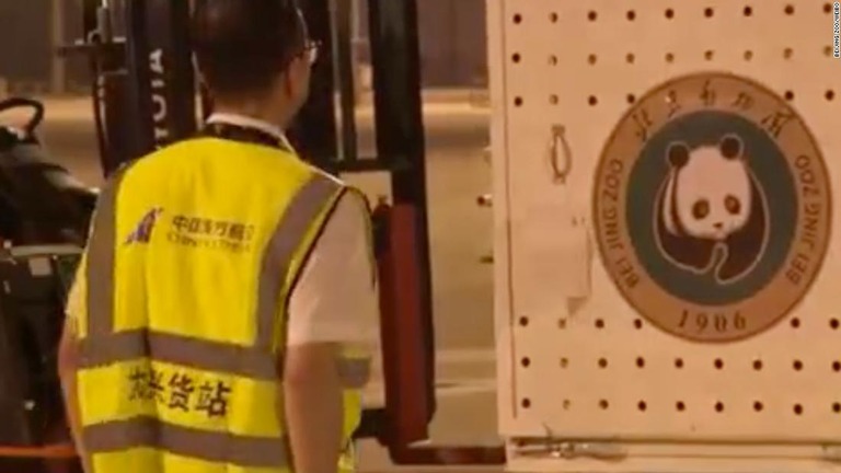チャーター機で北京に輸送されたヤーヤーは２８日の真夜中過ぎに北京動物園に到着した/Beijing Zoo/Weibo