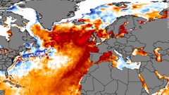 北大西洋で異常な海洋熱波、「前代未聞」と専門家
