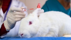 カナダ、化粧品の動物実験禁止に　世界４４カ国が禁止法制定