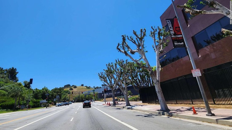 並木が剪定されたロサンゼルスの通り/From lacontroller/Twitter