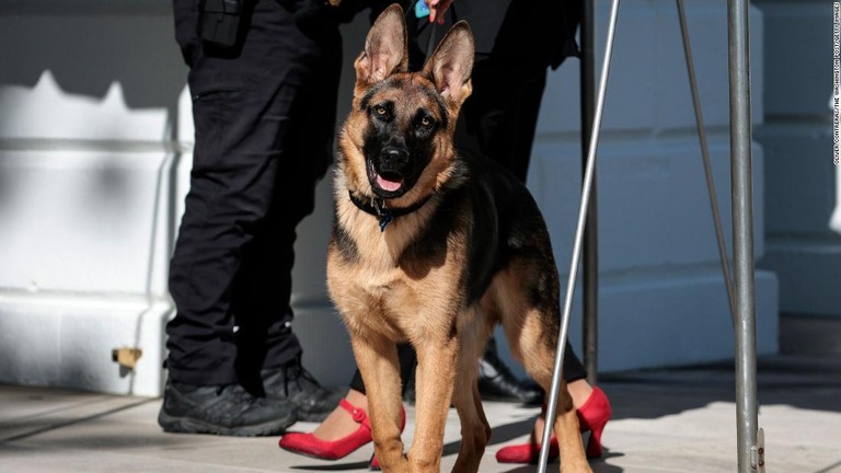 バイデン米大統領夫妻の愛犬「コマンダー」＝２０２２年３月、米ワシントンＤＣのホワイトハウス/Oliver Contreras/The Washington Post/Getty Images