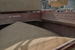 欧米、ウクライナ産穀物輸出の陸路ルートを検討中