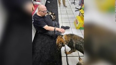 複数の警察犬、熱中症で死ぬ　運搬トラックのエアコン故障　米イリノイ州