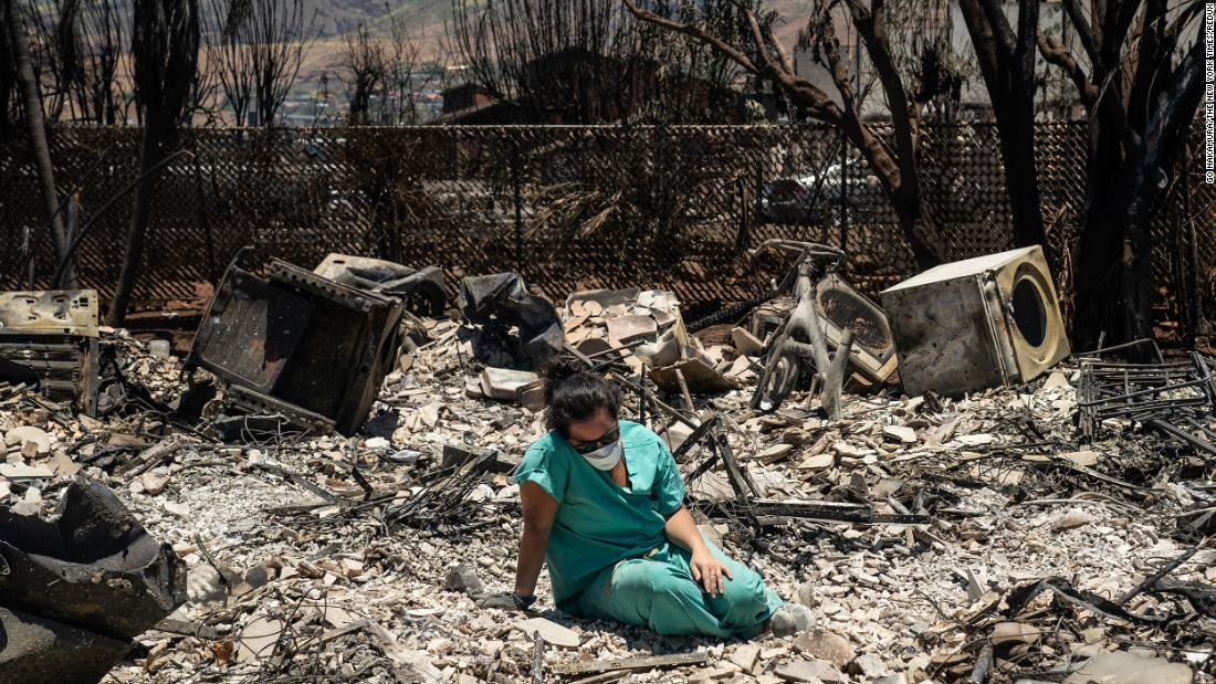 山火事の後、マウイ犬がカリフォルニア到着2日後に永遠の故郷を見つける