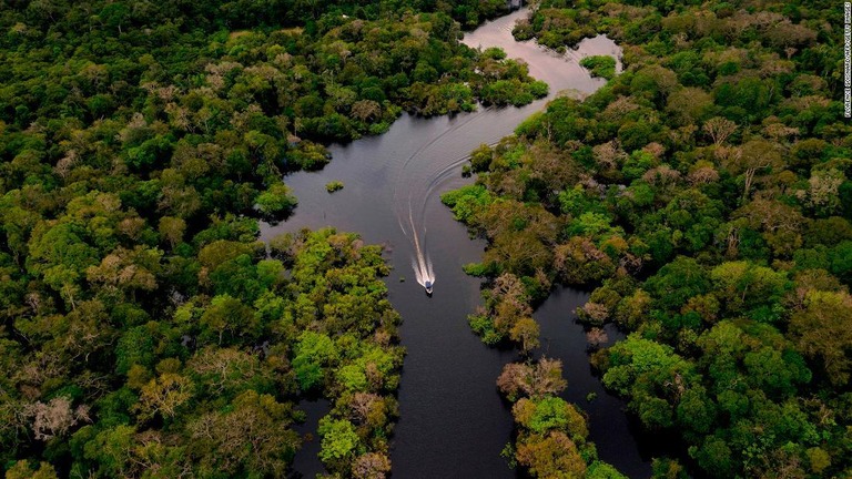 熱帯雨林の樹木が高温になりすぎて光合成ができなくなっている可能性があるという研究が報告された＝２０２０年３月１５日、ブラジルのジュルラ川/Florence Goisnard/AFP/Getty Images