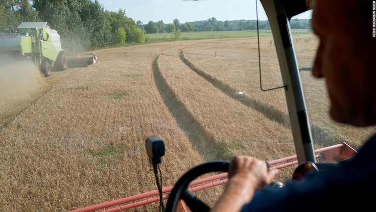 ウクライナ産穀物に対する禁輸措置が解除されたものの、ポーランドとハンガリー、スロバキアは独自に禁輸を続ける方針を明らかにした/Pierre Crom/Getty Images