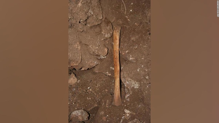 洞窟内で発見された人骨/J.C. Vera Rodríguez