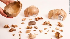 死者を葬る人肉食、１万５０００年前の欧州で普及　英研究