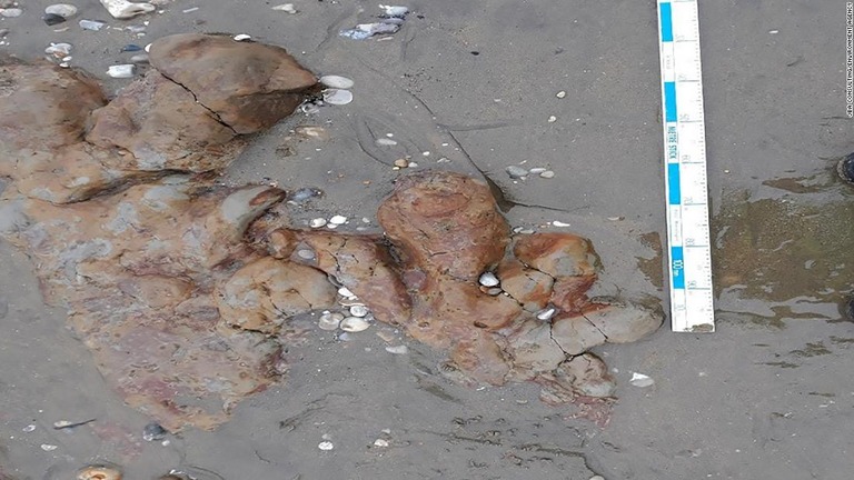 英国ワイト島の海岸でこのほど発見された恐竜の足跡/JBA Consulting/Environment Agency