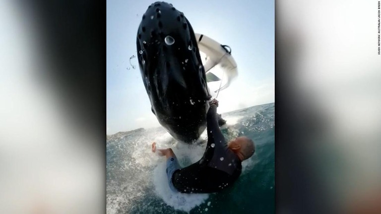 豪州でウインドサーフィンをしていた男性が浮上したクジラ１頭にはね飛ばされた/Seven Network Australia/Jason Breen