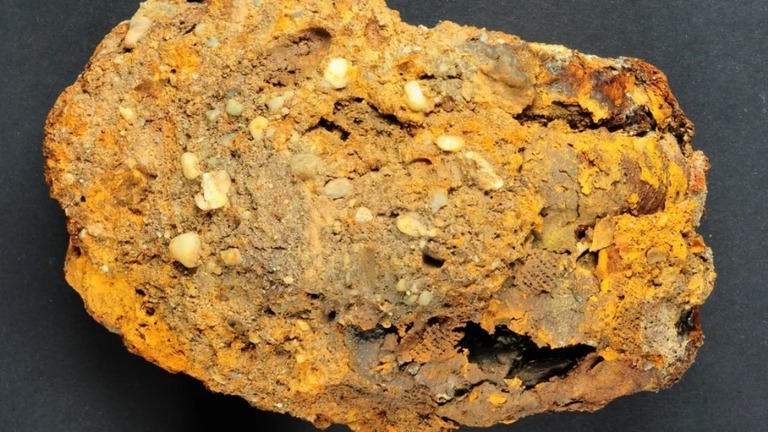 独南部で発見された人骨が身に付けていた金属製の義手/Bayerisches Landesamt für Denkmalpflege