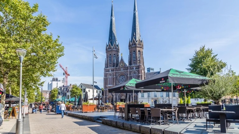 オランダ当局は住民に対して、毒ヘビに近づかないよう警告している/Hilda Weges/Alamy Stock Photo