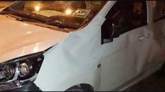 子ゾウに衝突の車、群れに踏みつけられ損傷　マレーシア