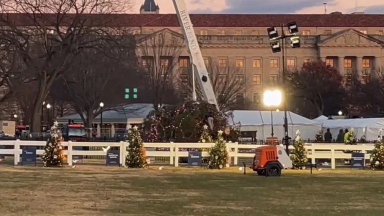 ホワイトハウス南側広場に設置された「ナショナル・クリスマスツリー」が強風で倒れた/CNN