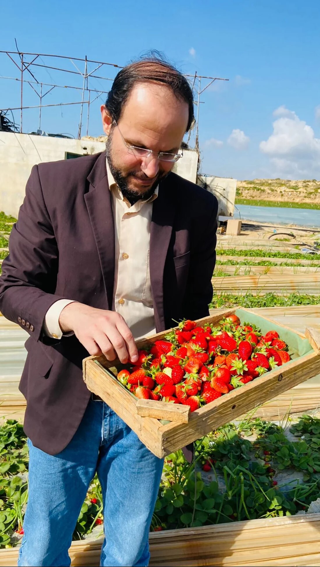 イチゴを摘むアラリール氏＝２２年３月２７日、ガザ地区/Courtesy Mosab Abu Toha