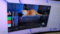 宇宙から届いた猫ビデオ、レーザー通信実験で地球へ送信　米ＮＡＳＡ