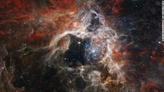ＮＡＳＡが公開した「タランチュラ星雲」の画像
