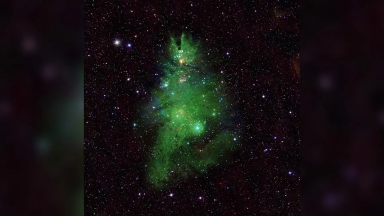 地球から２５００光年の距離にある若い星々からなる「クリスマスツリー星団」/NASA/CXC/SAO