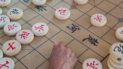 中国将棋の優勝者、「悪行」理由に勝利失う　性具使ったズルは否定