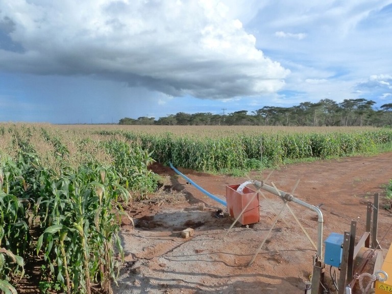 地下水を利用したトウモロコシ畑の灌漑（かんがい）システム＝アフリカ南部ザンビア/Mark Hughes