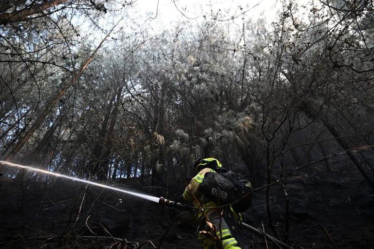 森林火災を消火する消防士＝２５日、コロンビア・ボゴタ/Raul Arboleda/AFP/Getty Images