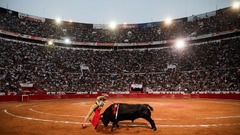 メキシコ市で闘牛を２年ぶりに再開、反対論も根強く抗議デモ