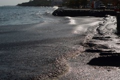 転覆の船から油流出、黒く染まった海岸　カリブ海の島国で国家非常事態