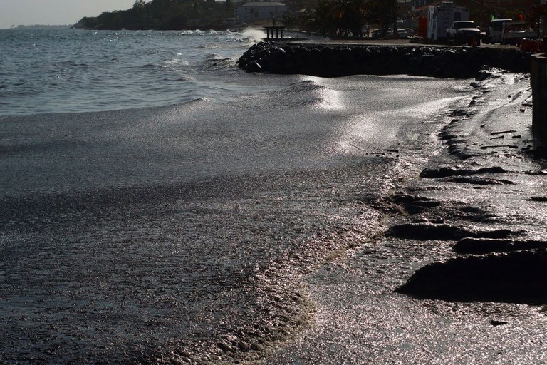 トリニダード・トバゴの沖合で船舶が転覆し、大量の油が流出して海岸に押し寄せている/Clement Williams/AFP/Getty Images