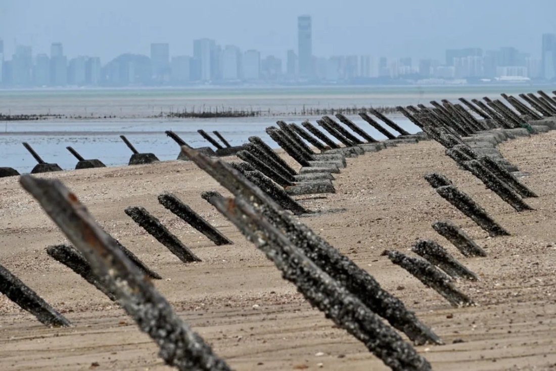 台湾・金門県の海岸に設置された対上陸用の障害物。対岸に中国本土の街並みが見える/Sam Yeh/AFP/Getty Images