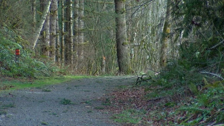 被害者は米ワシントン州キング郡の山道でピューマに襲われた