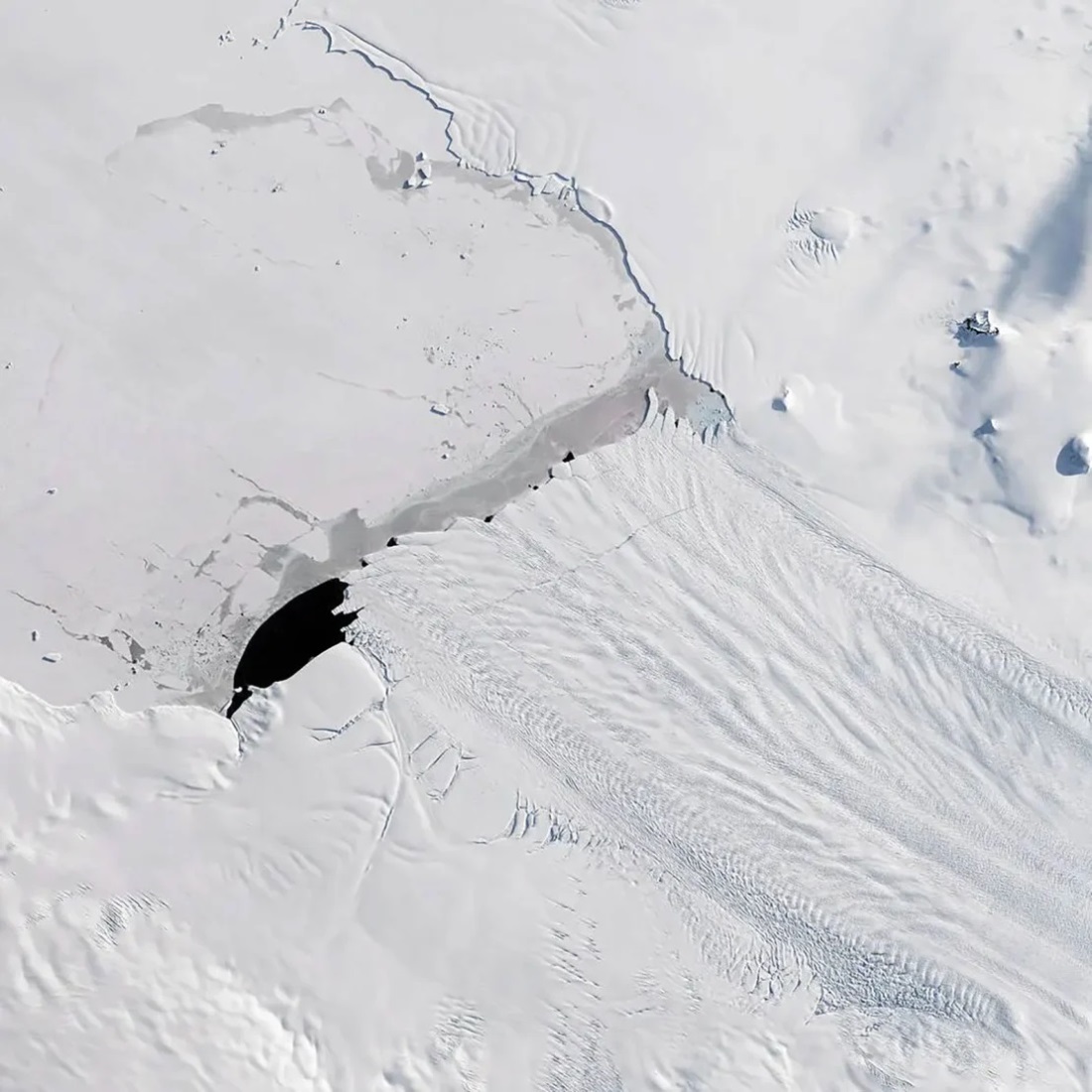 パインアイランド氷河から分離した氷山＝２０１７年/Joshua Stevens/NASA Earth Observatory/US Geological Survey