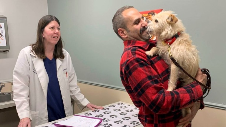 米カリフォルニア州で行方不明となっていたペット犬がミシガン州で見つかり、飼い主との再会を果たした/Corinne Martin/AP