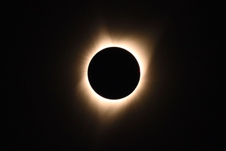 皆既日食の際に見られる太陽のコロナ。画像は２０１７年８月２１日、米オレゴン州で撮影/Robyn Beck/AFP/Getty Images