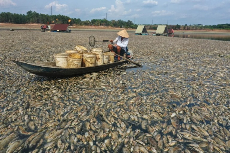 漁網を手に魚の死骸の回収に当たる漁師/AFP/Getty Images